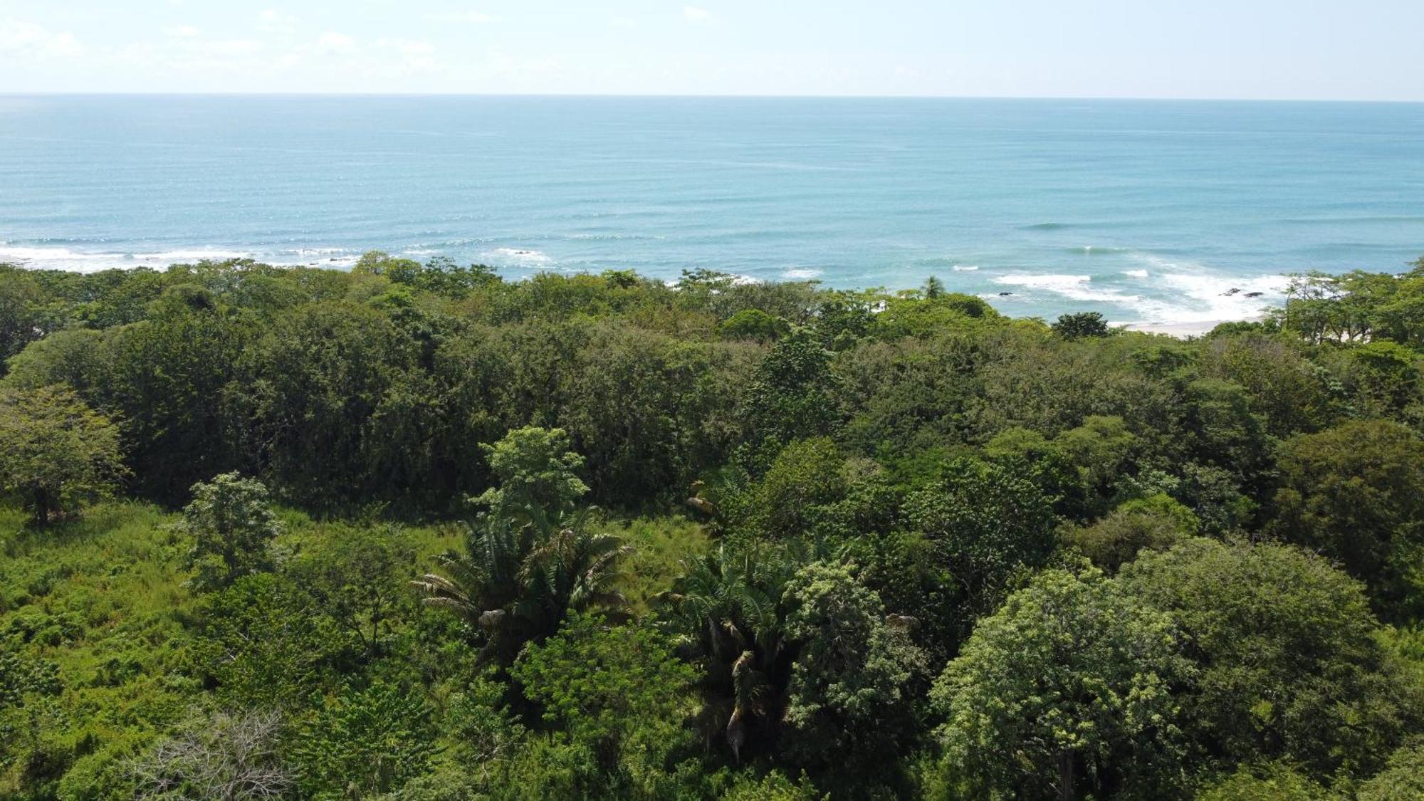 Calma Apartments Costa Rica Malpaís Eksteriør billede